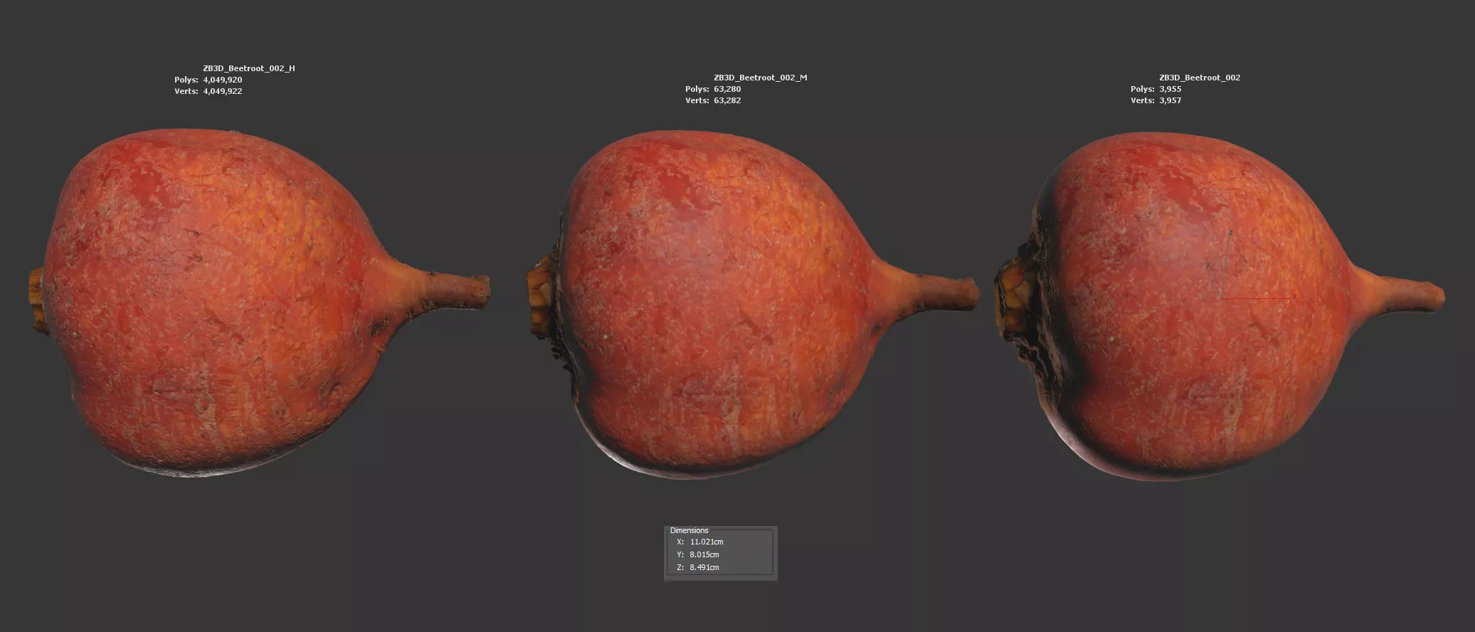 Beetroot 3D model_5