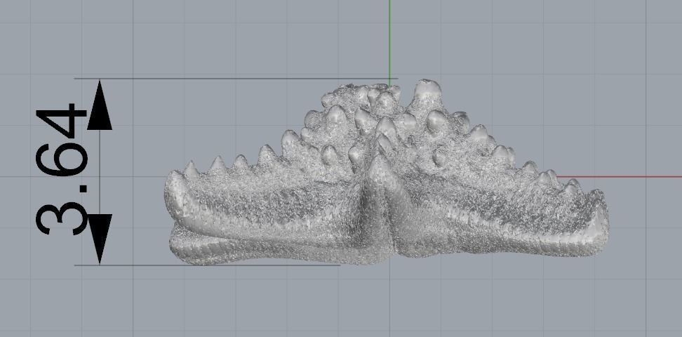 Starfish N012001 3D print model_7