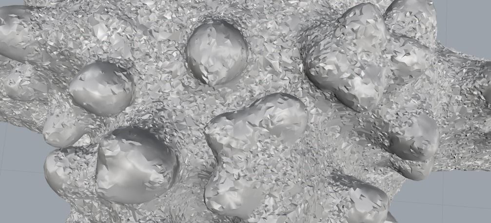 Starfish N012001 3D print model_3