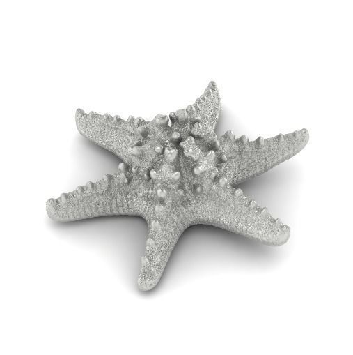 Starfish N012001 3D print model_1