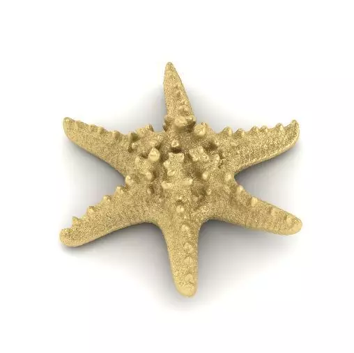 Starfish N012001 3D print model_0