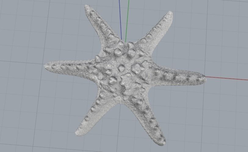 Starfish N012001 3D print model_2