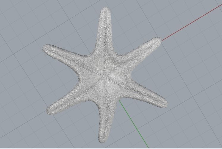 Starfish N012001 3D print model_5