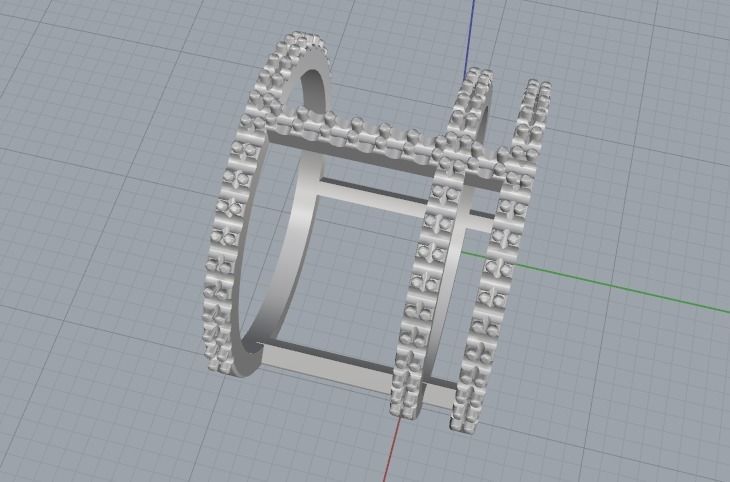 Double ring N011992 3D print model_2
