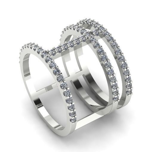 Double ring N011992 3D print model_1