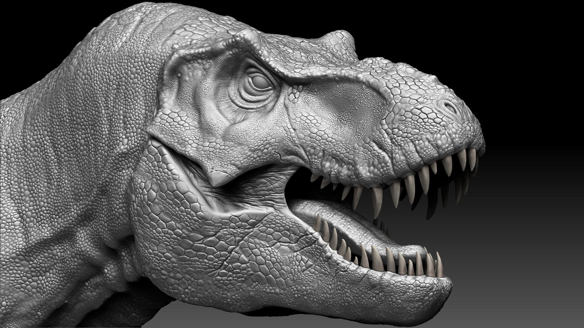 Dinosaur Tyrannosaurus Rex Stan Sculpt Project 3D model_2