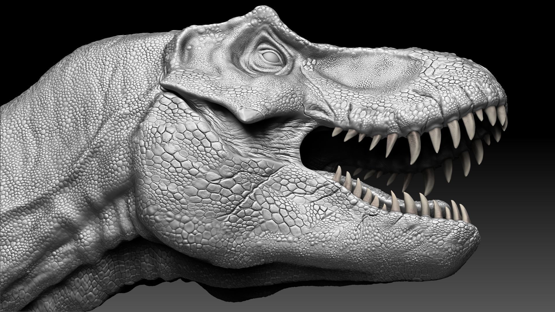 Dinosaur Tyrannosaurus Rex Stan Sculpt Project 3D model_14