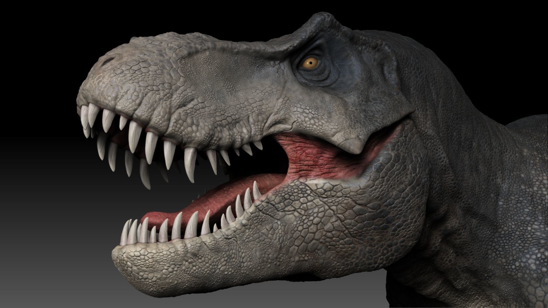 Dinosaur Tyrannosaurus Rex Stan Sculpt Project 3D model_18