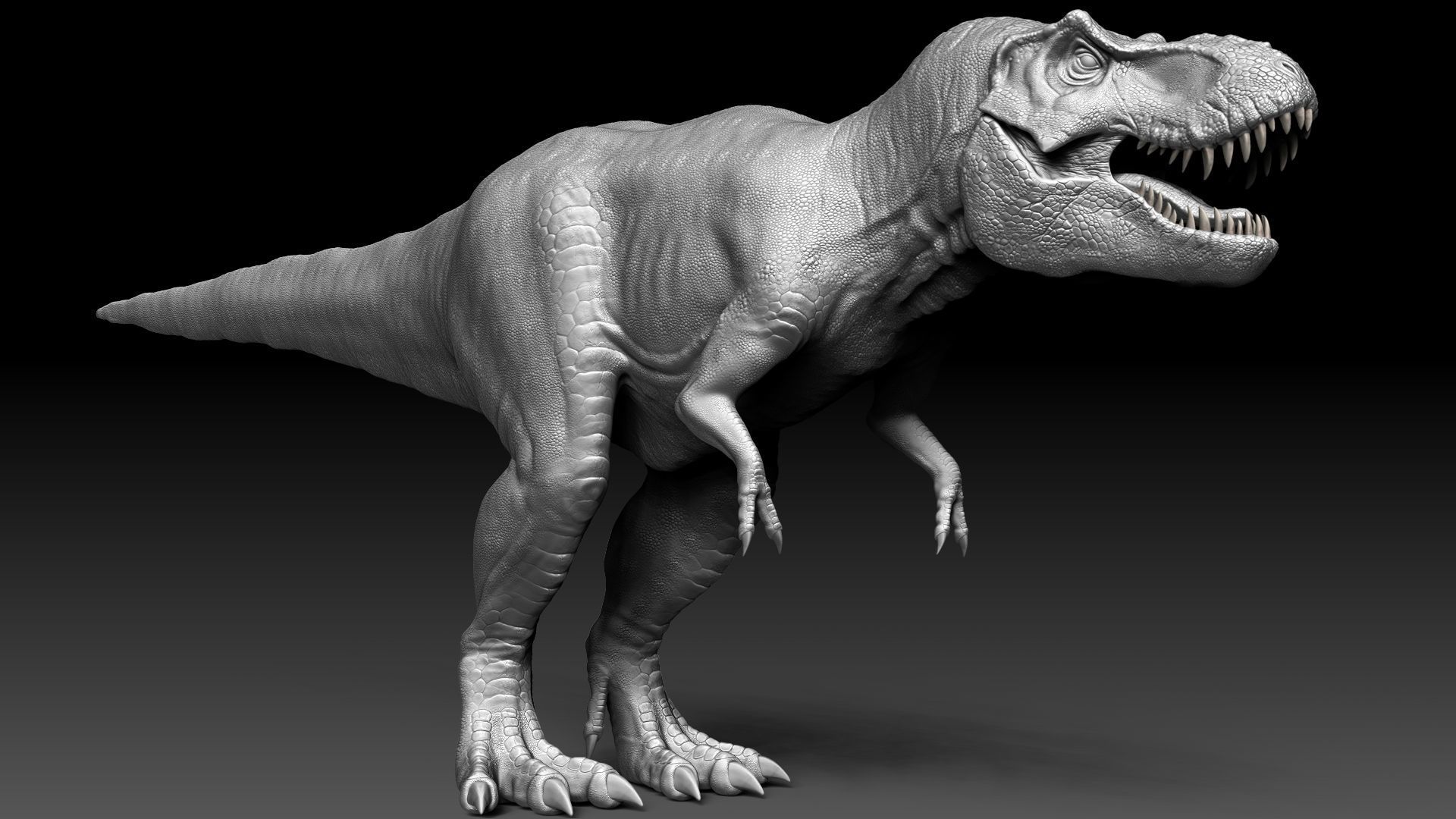 Dinosaur Tyrannosaurus Rex Stan Sculpt Project 3D model_15