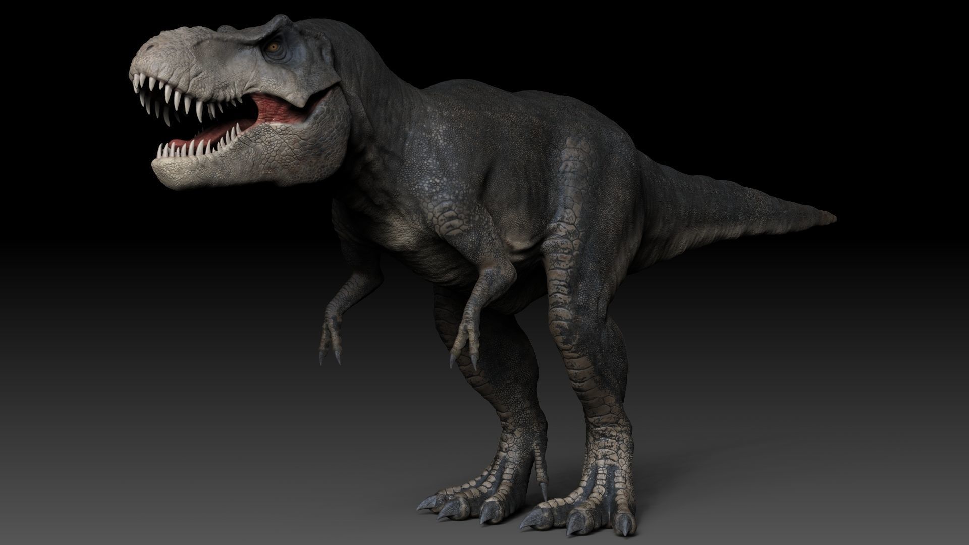 Dinosaur Tyrannosaurus Rex Stan Sculpt Project 3D model_20