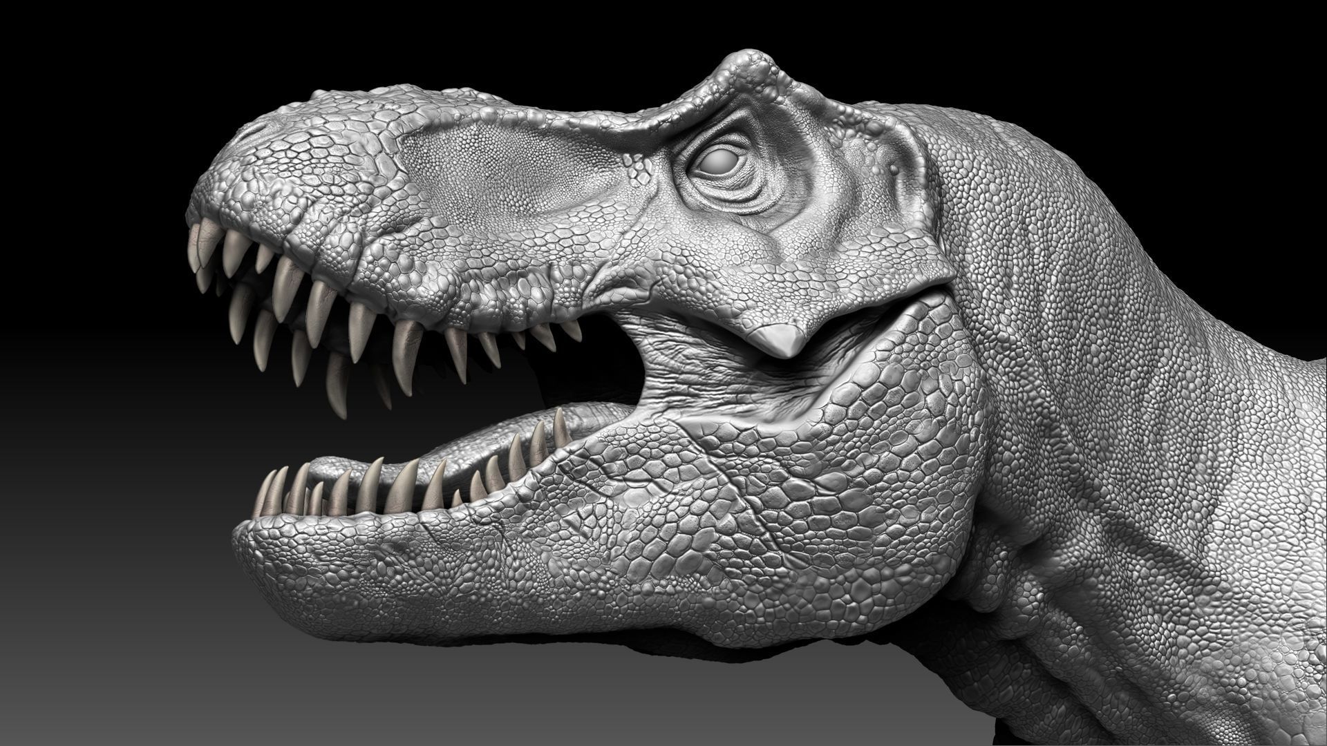Dinosaur Tyrannosaurus Rex Stan Sculpt Project 3D model_13