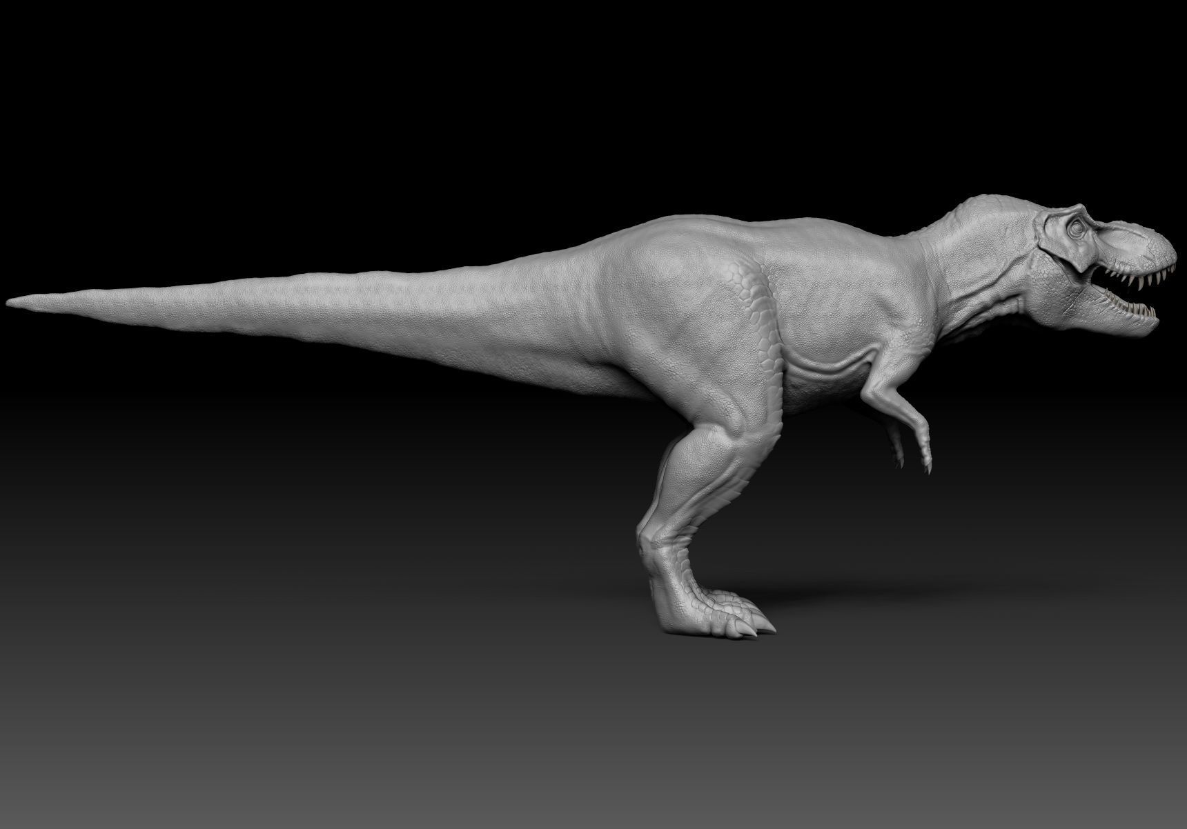 Dinosaur Tyrannosaurus Rex Stan Sculpt Project 3D model_7