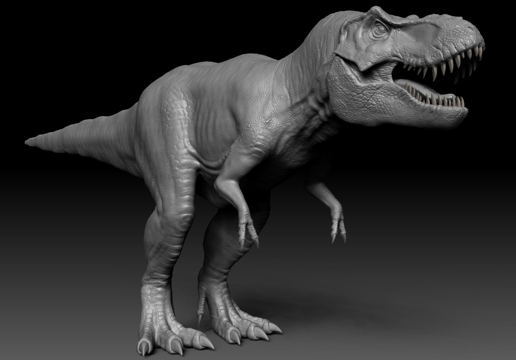 Dinosaur Tyrannosaurus Rex Stan Sculpt Project 3D model_6