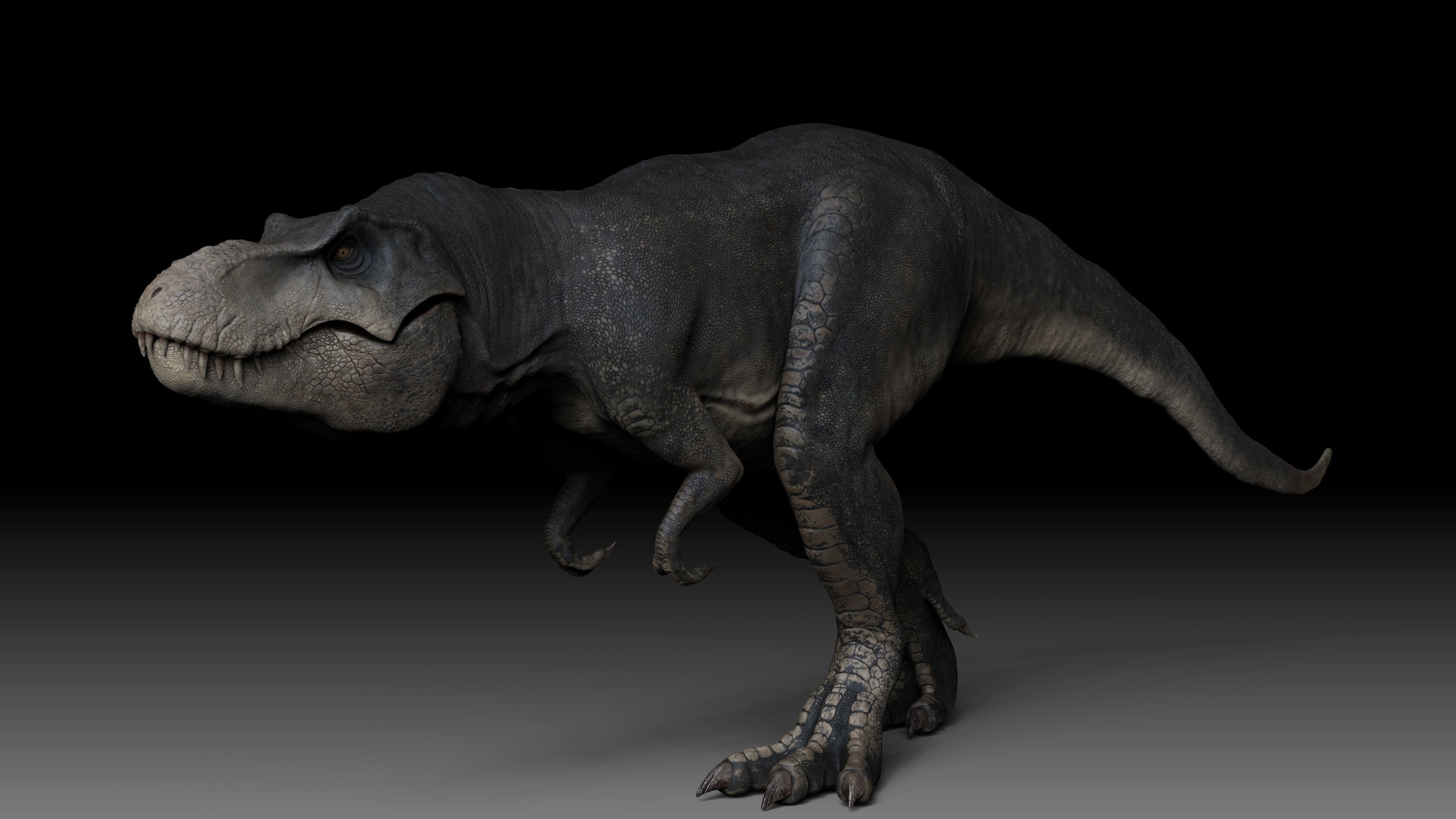 Dinosaur Tyrannosaurus Rex Stan Sculpt Project 3D model_3