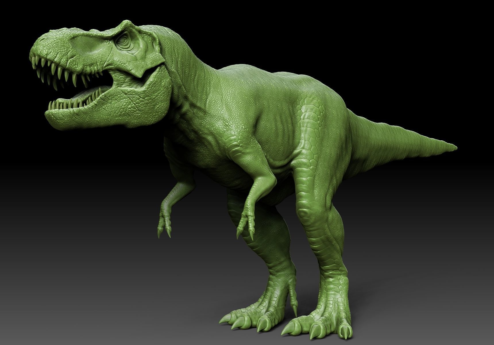 Dinosaur Tyrannosaurus Rex Stan Sculpt Project 3D model_8