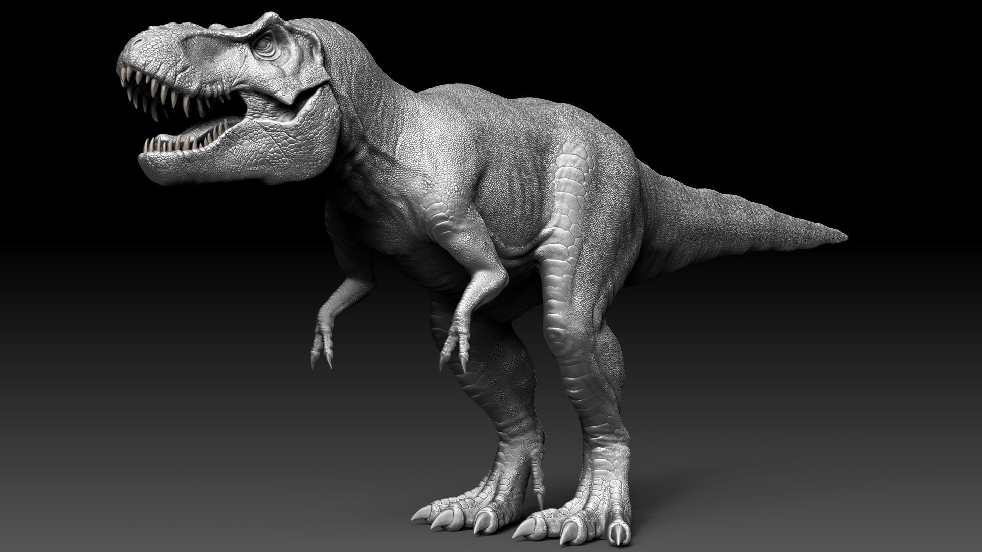 Dinosaur Tyrannosaurus Rex Stan Sculpt Project 3D model_10