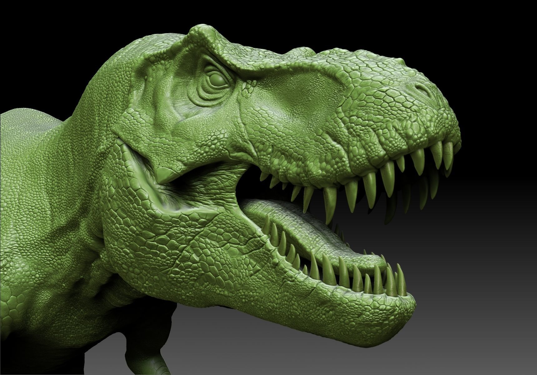 Dinosaur Tyrannosaurus Rex Stan Sculpt Project 3D model_9