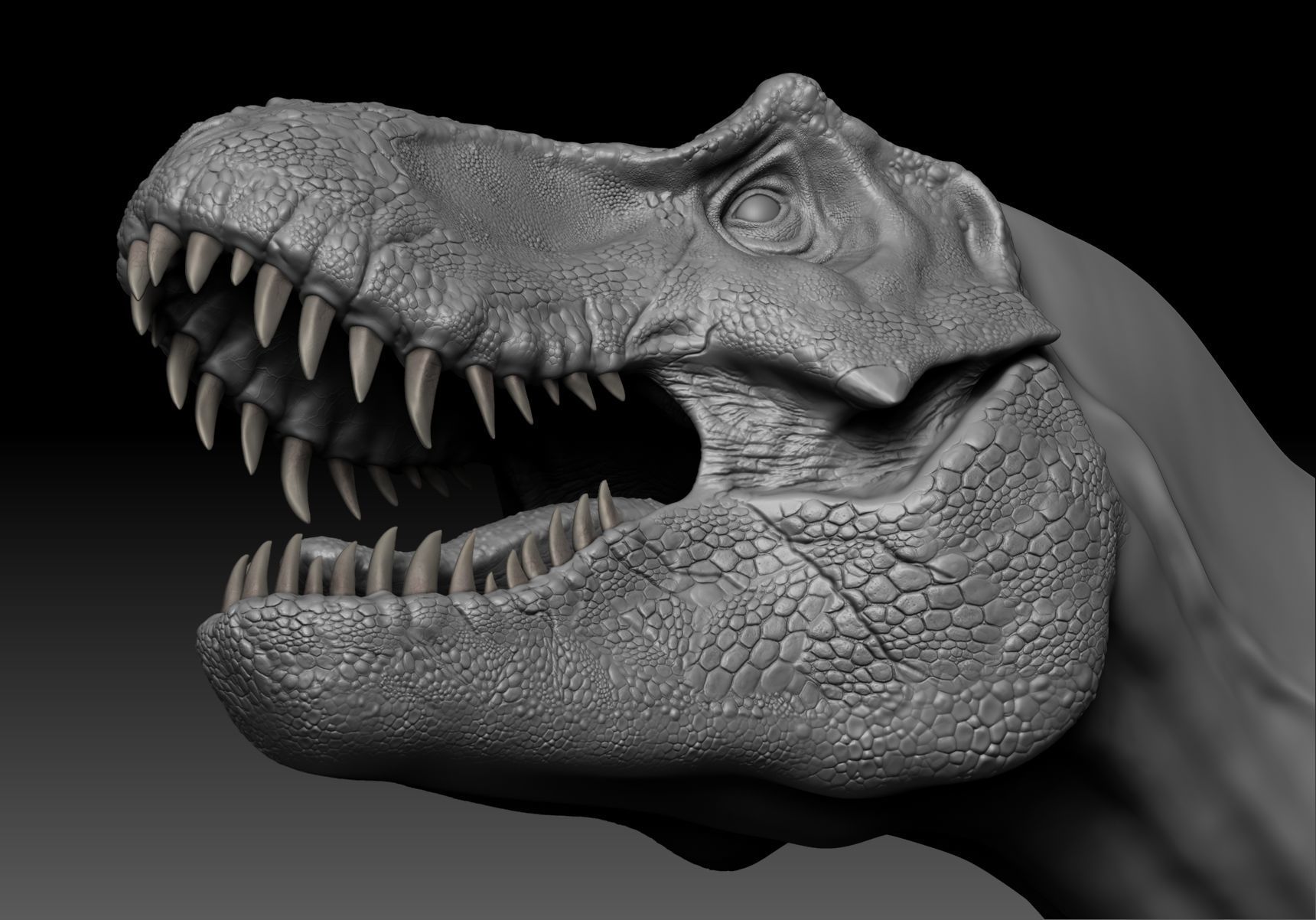 Dinosaur Tyrannosaurus Rex Stan Sculpt Project 3D model_5