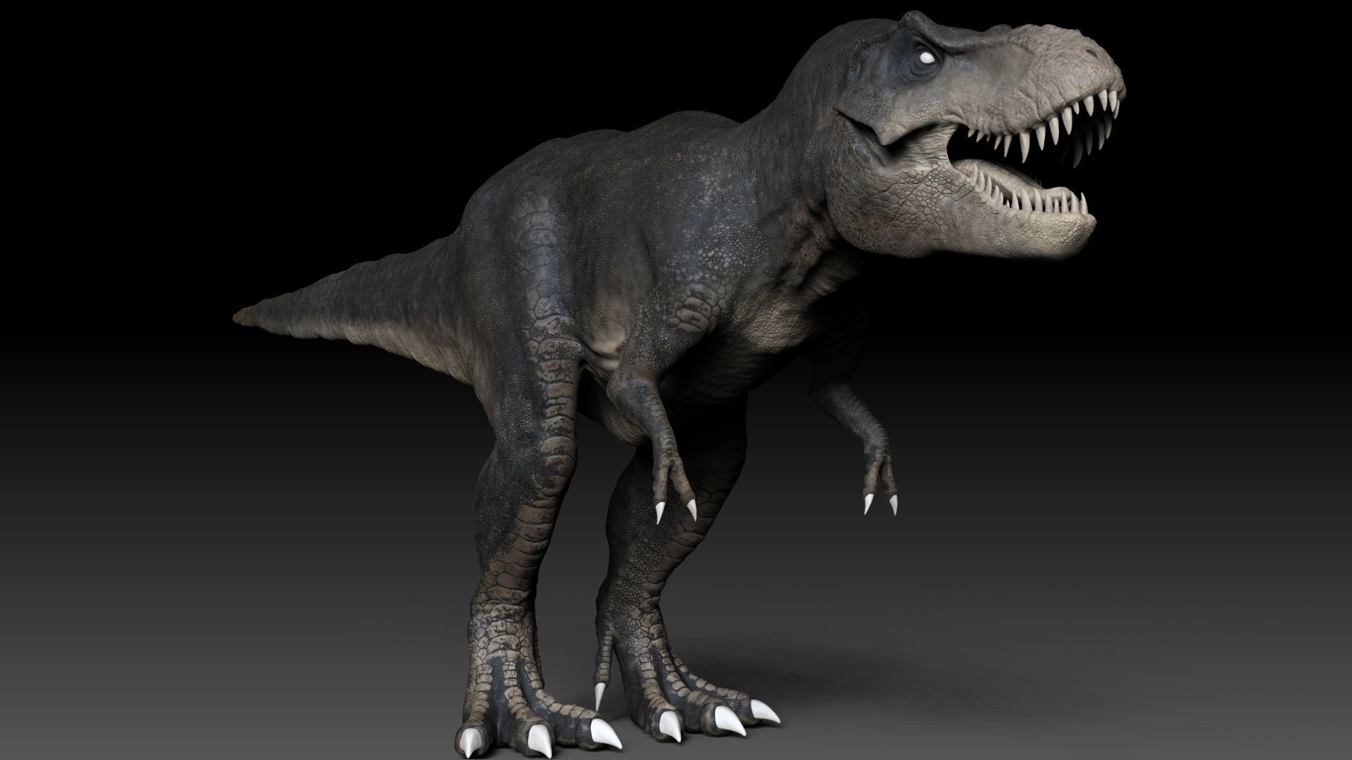 Dinosaur Tyrannosaurus Rex Stan Sculpt Project 3D model_16