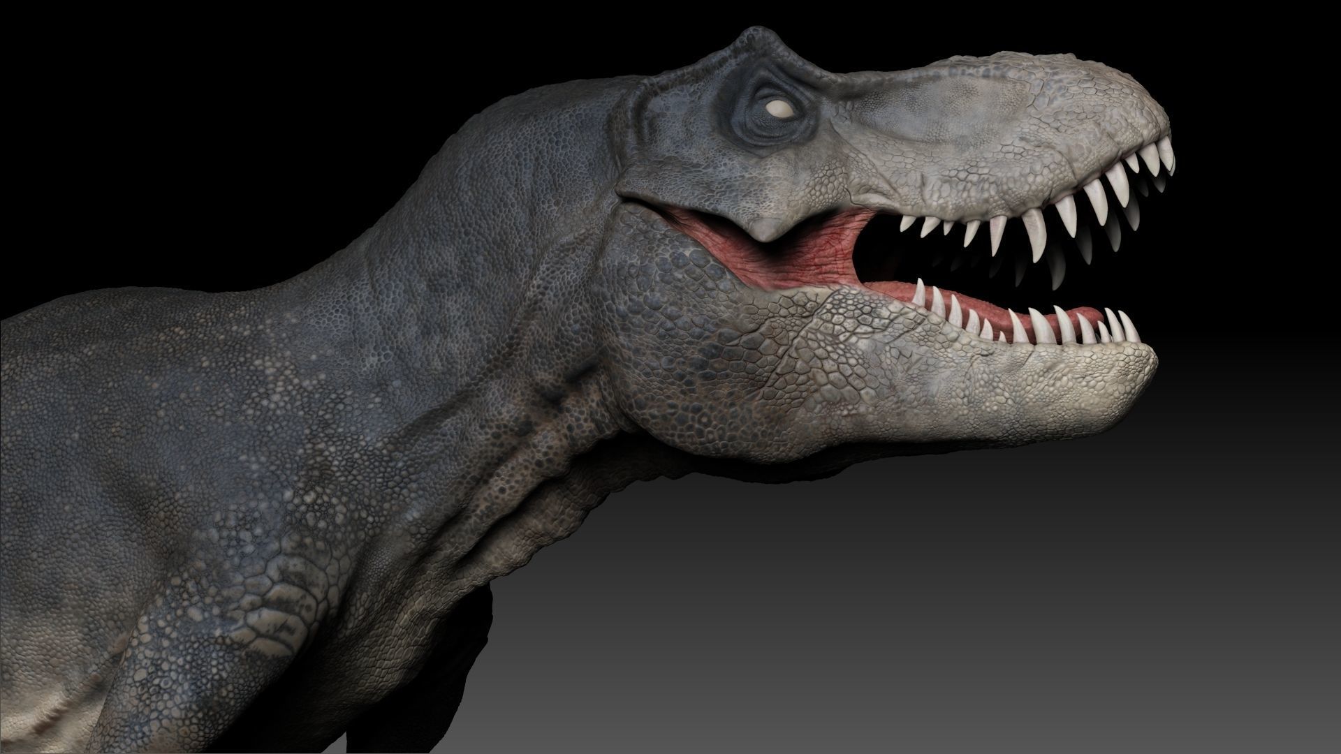 Dinosaur Tyrannosaurus Rex Stan Sculpt Project 3D model_17