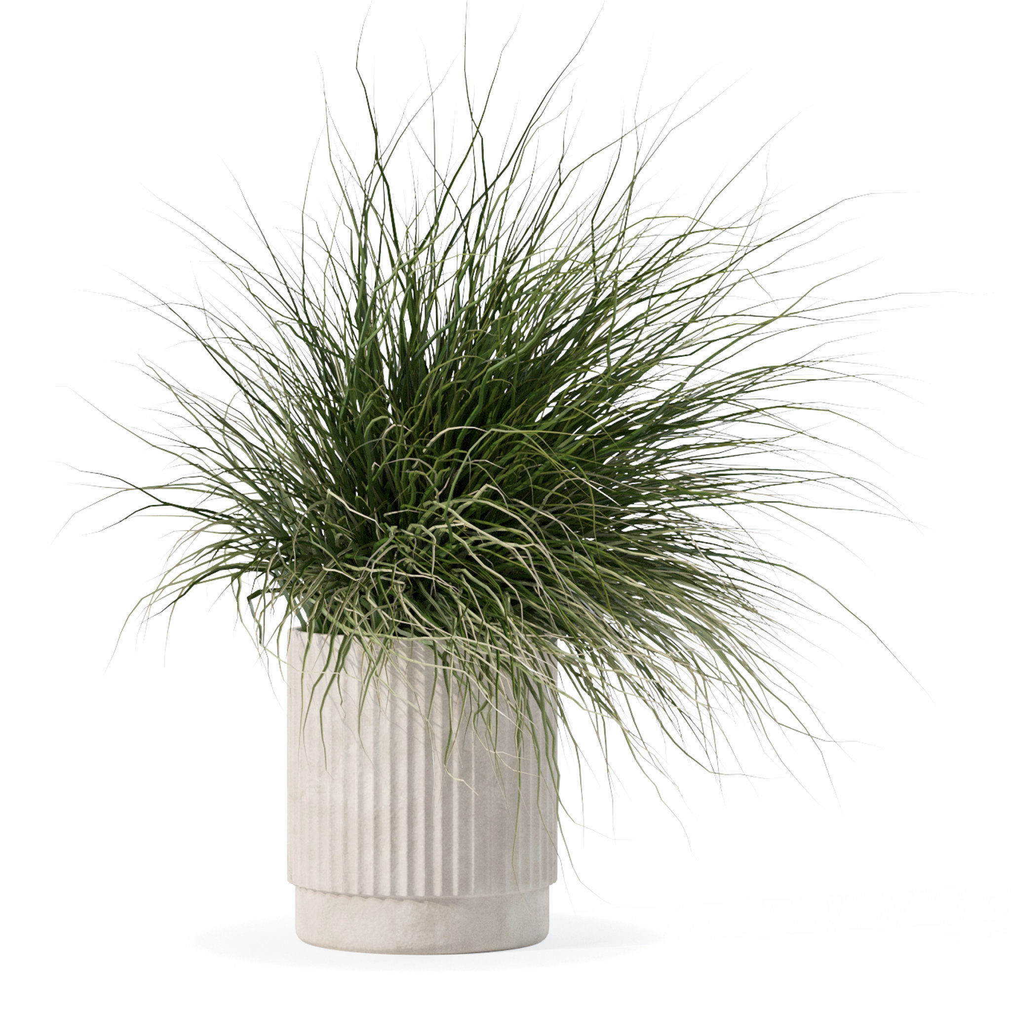 Grass in big flower pot 3D model_6