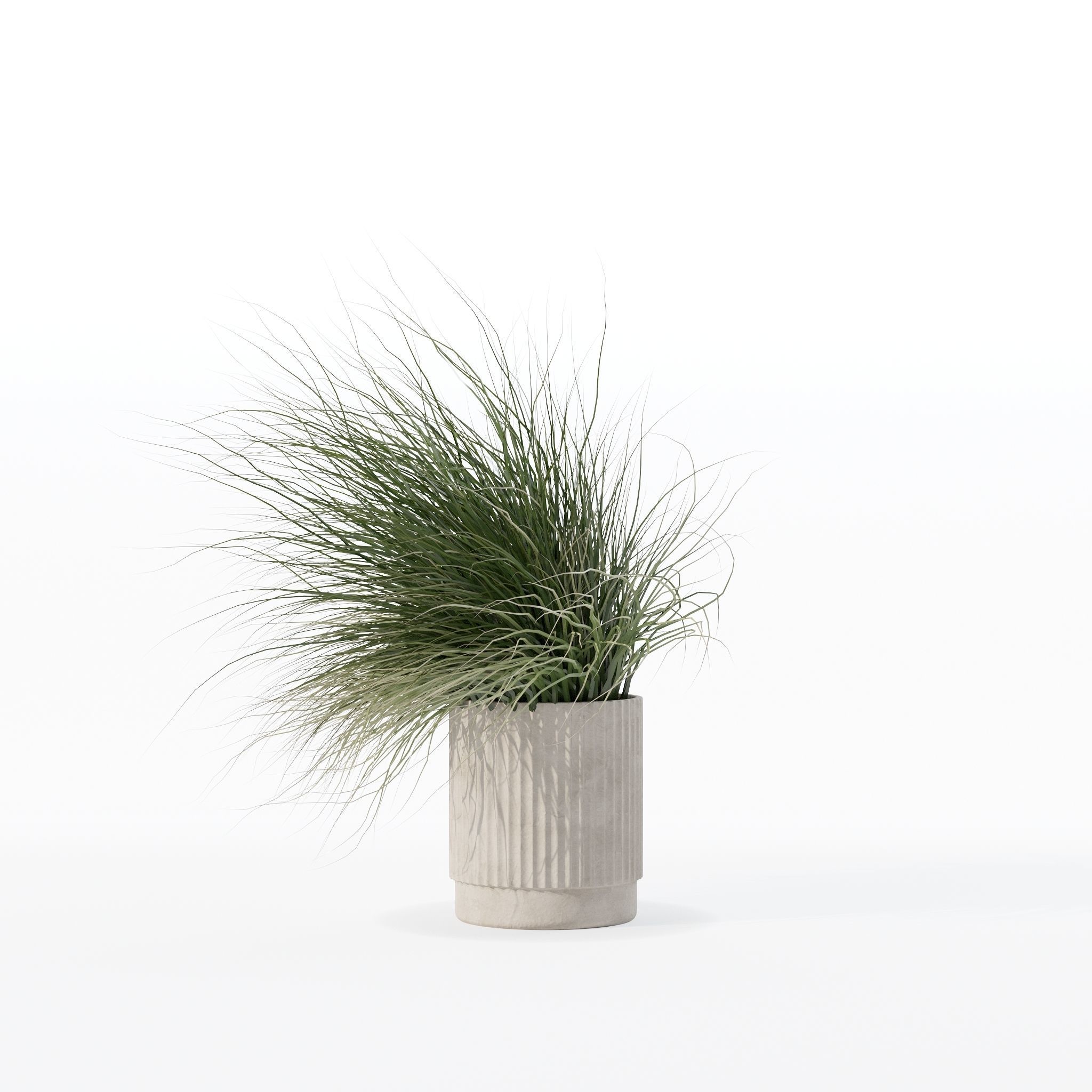 Grass in big flower pot 3D model_19