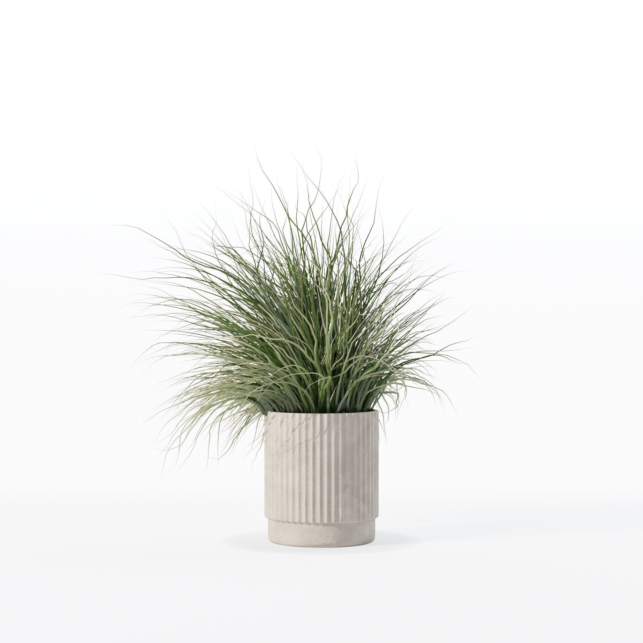 Grass in big flower pot 3D model_22