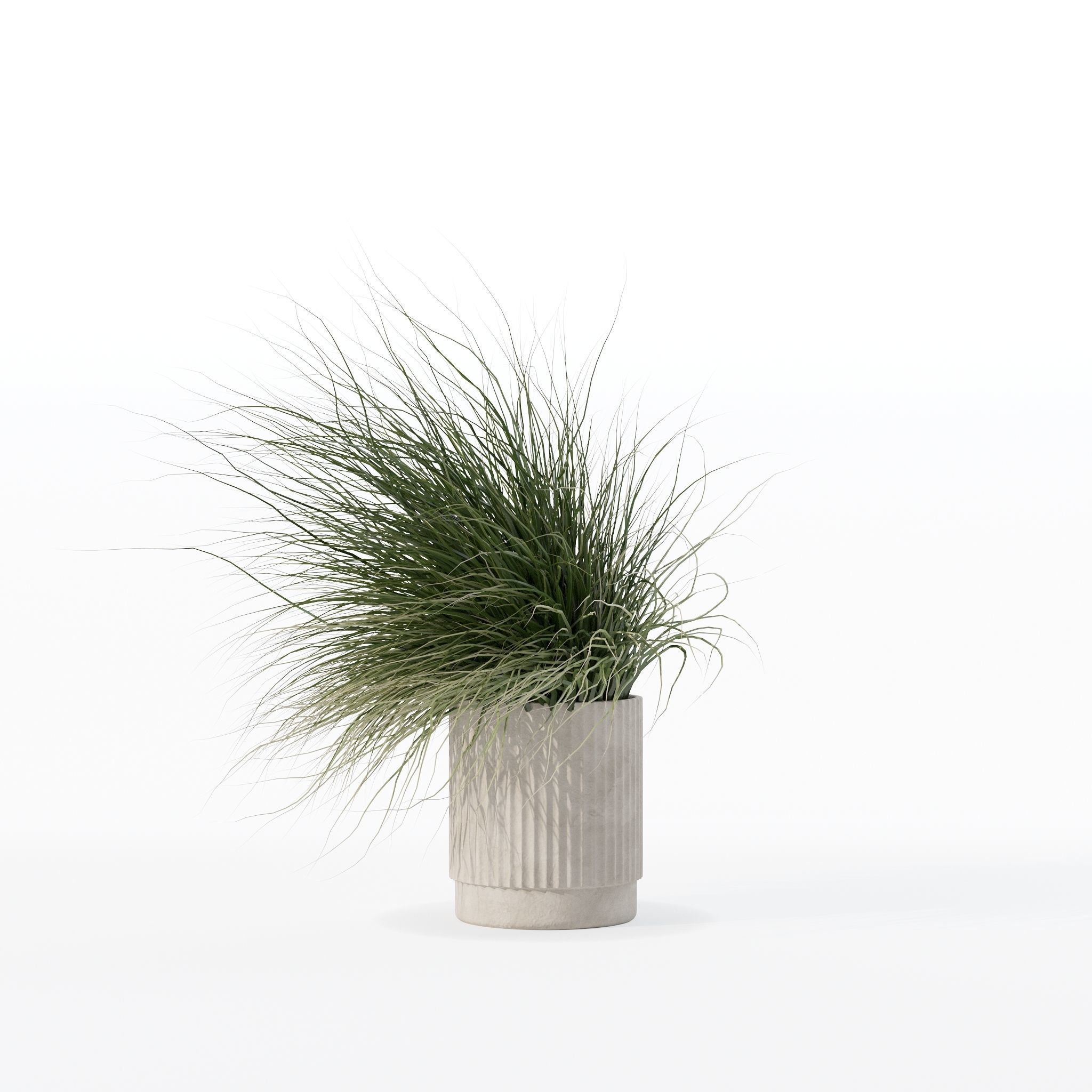 Grass in big flower pot 3D model_18