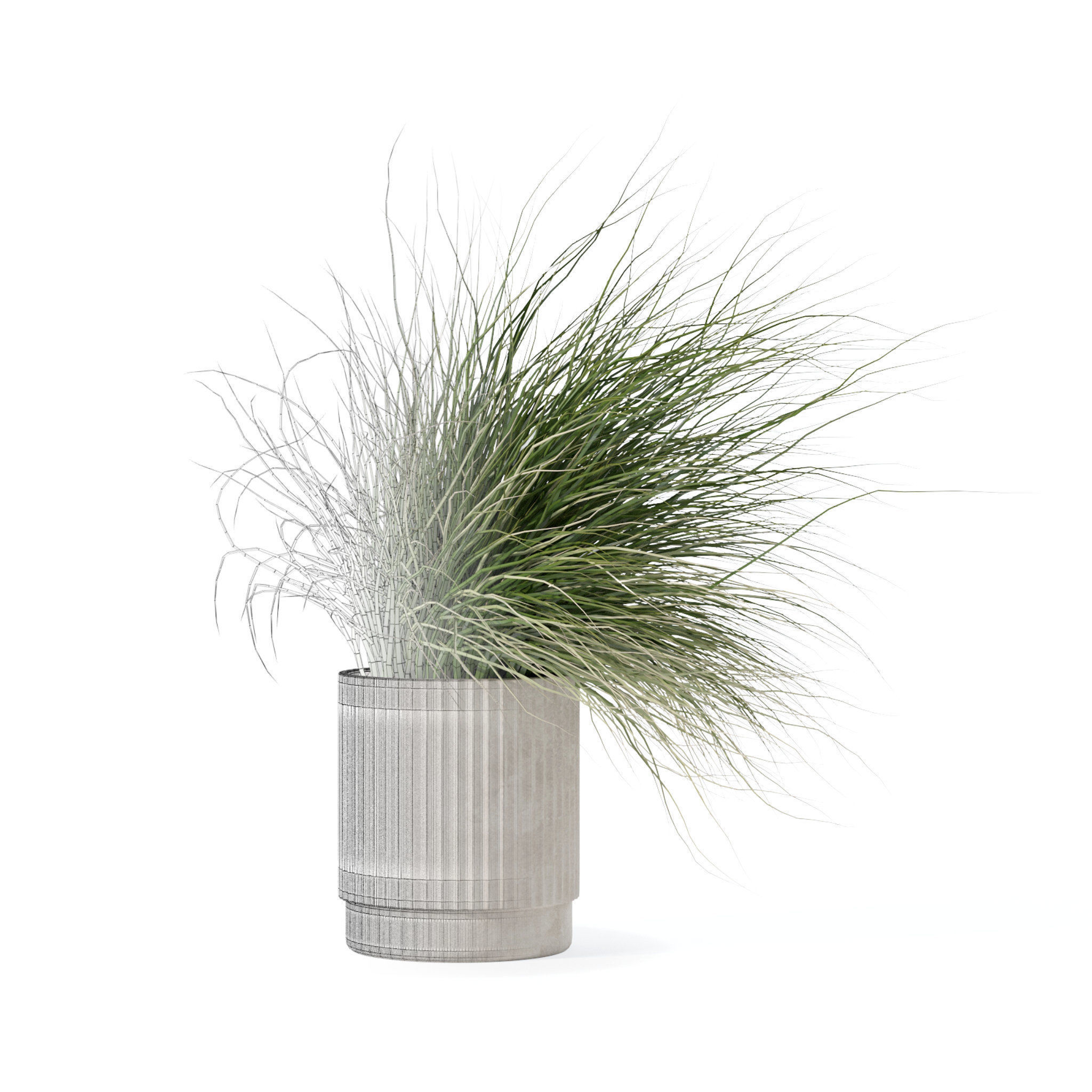 Grass in big flower pot 3D model_2