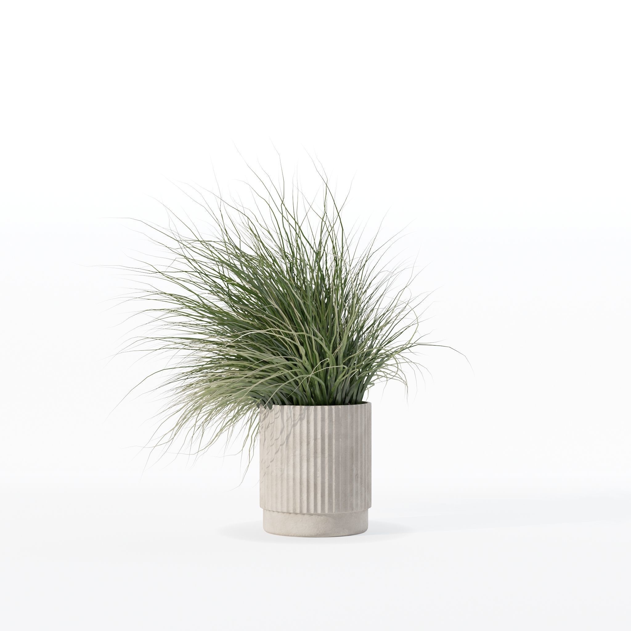 Grass in big flower pot 3D model_21