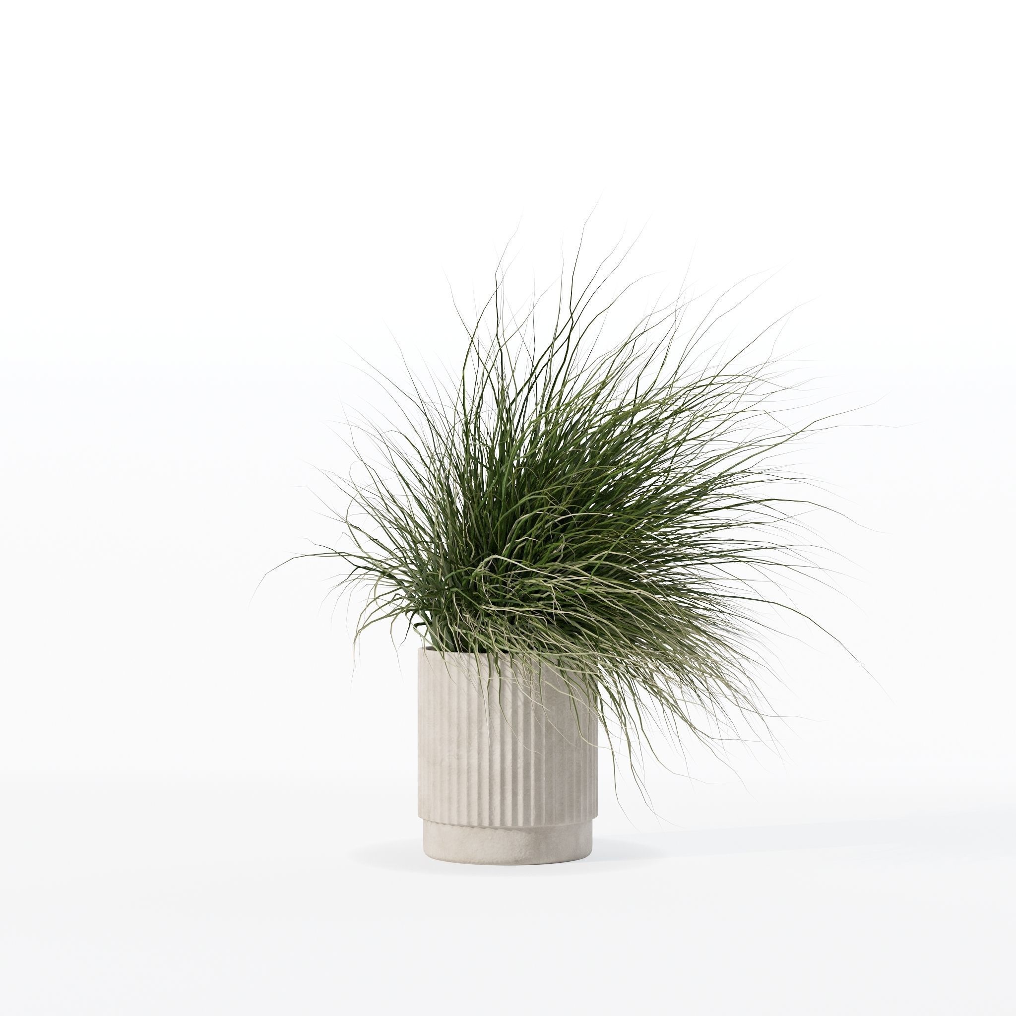 Grass in big flower pot 3D model_12