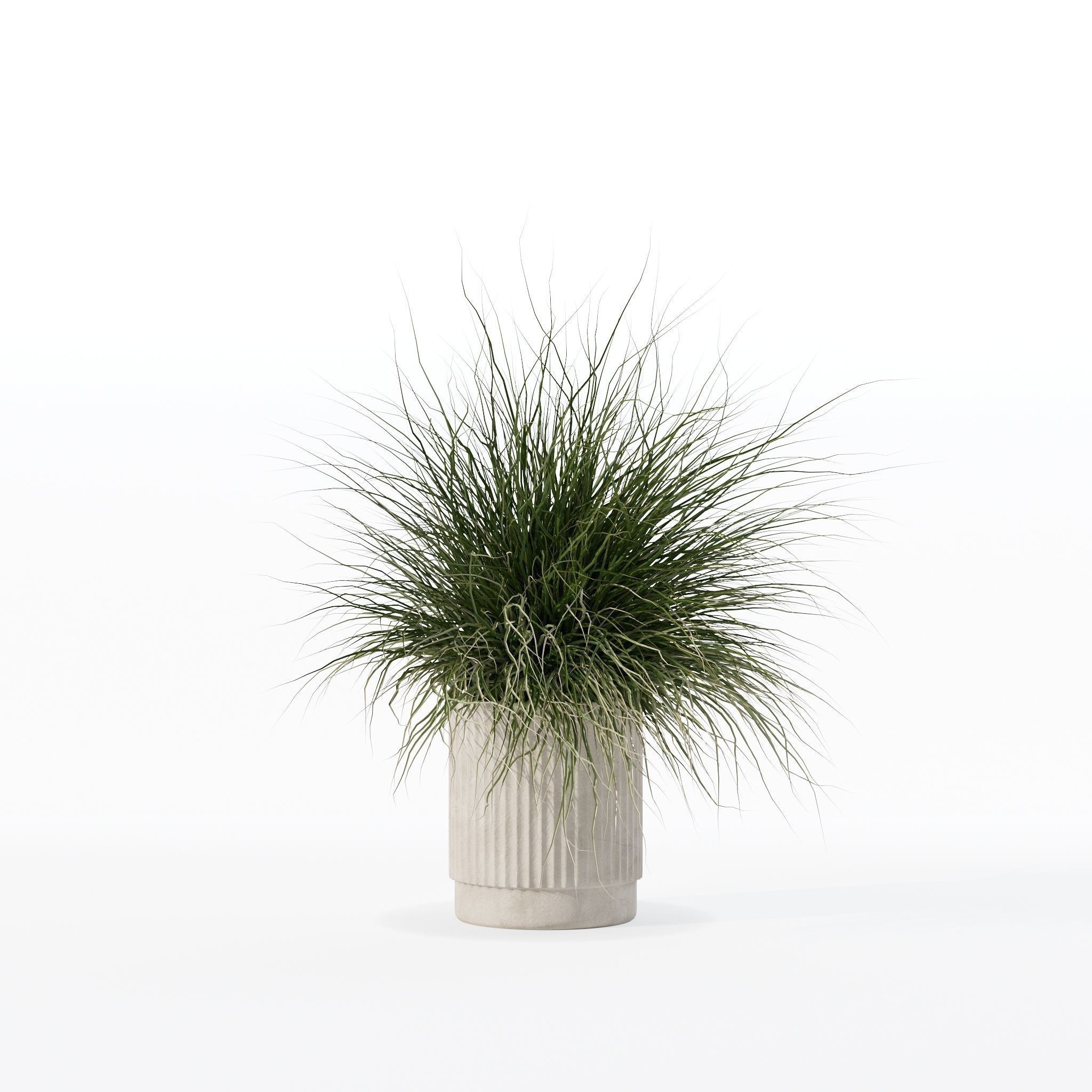 Grass in big flower pot 3D model_14