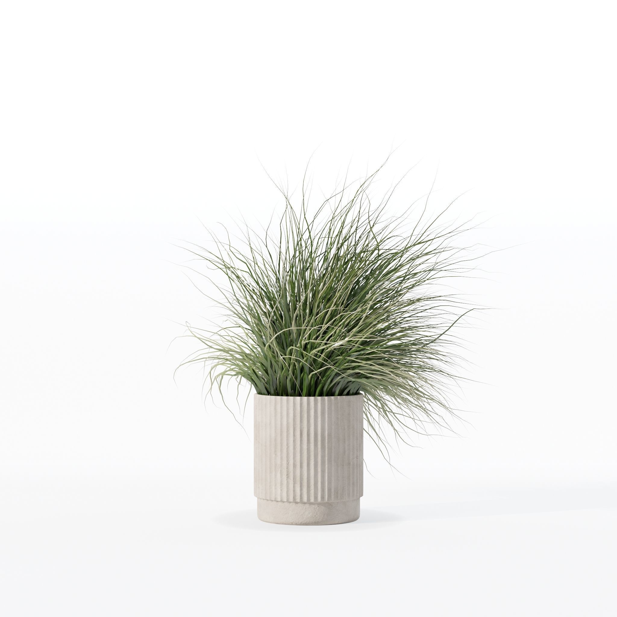 Grass in big flower pot 3D model_25