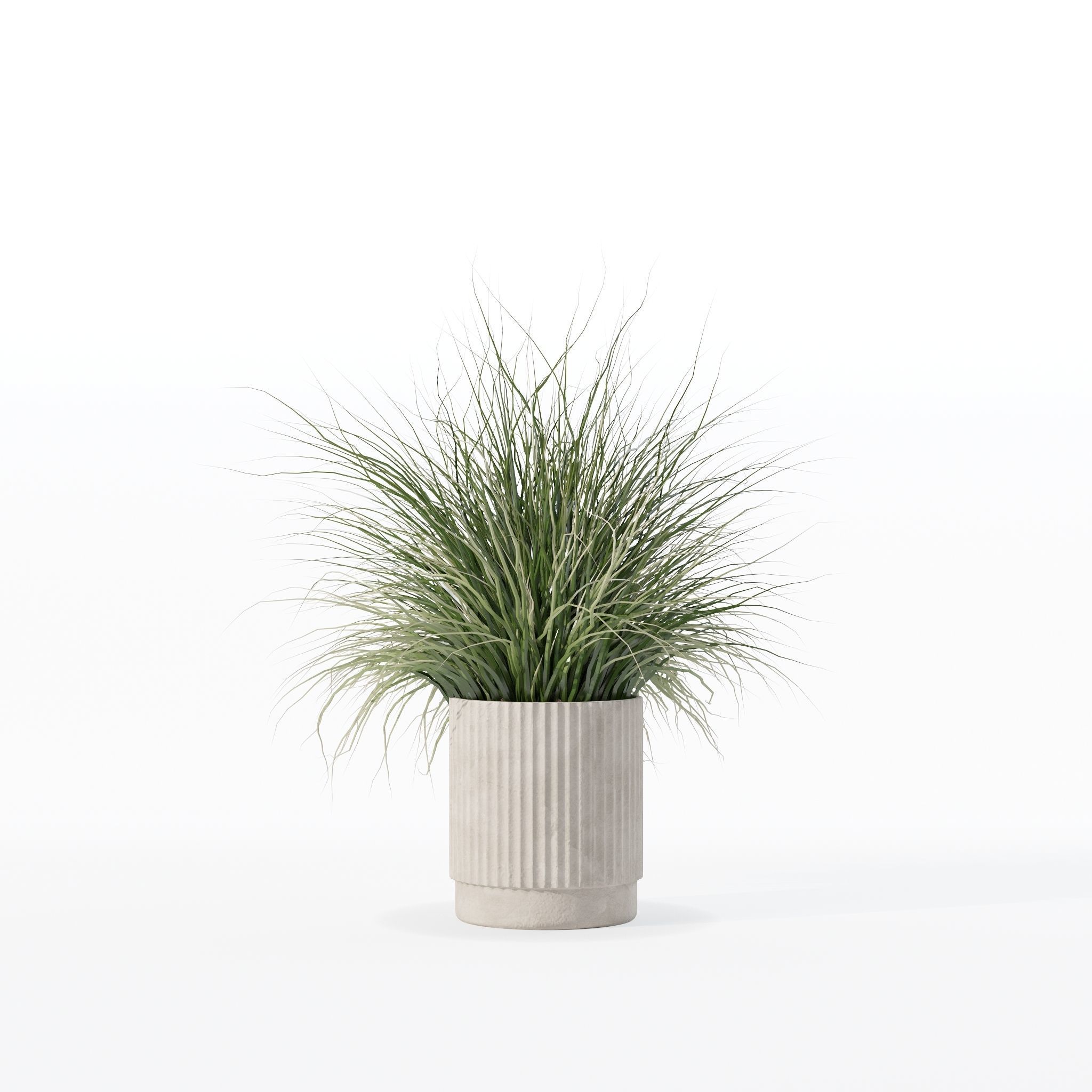 Grass in big flower pot 3D model_23