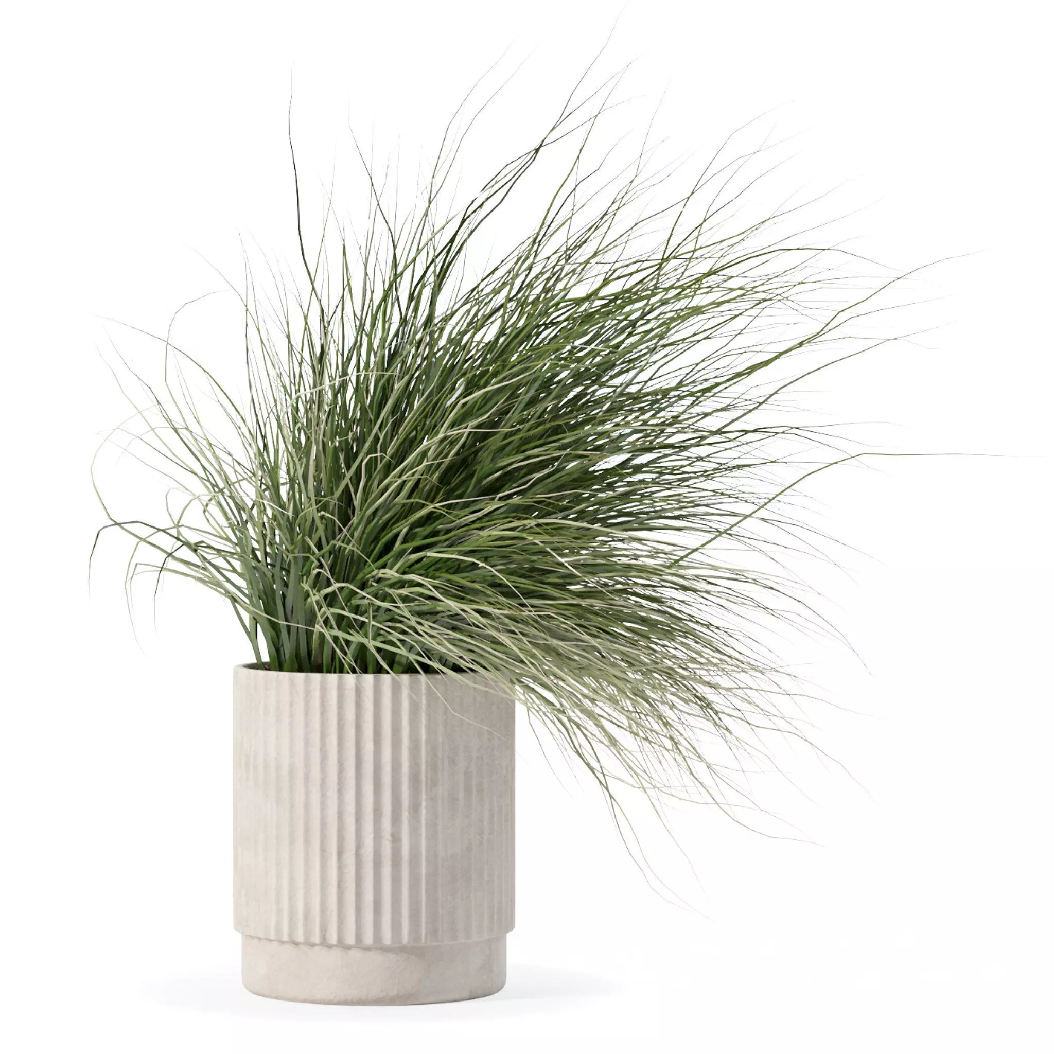 Grass in big flower pot 3D model_0