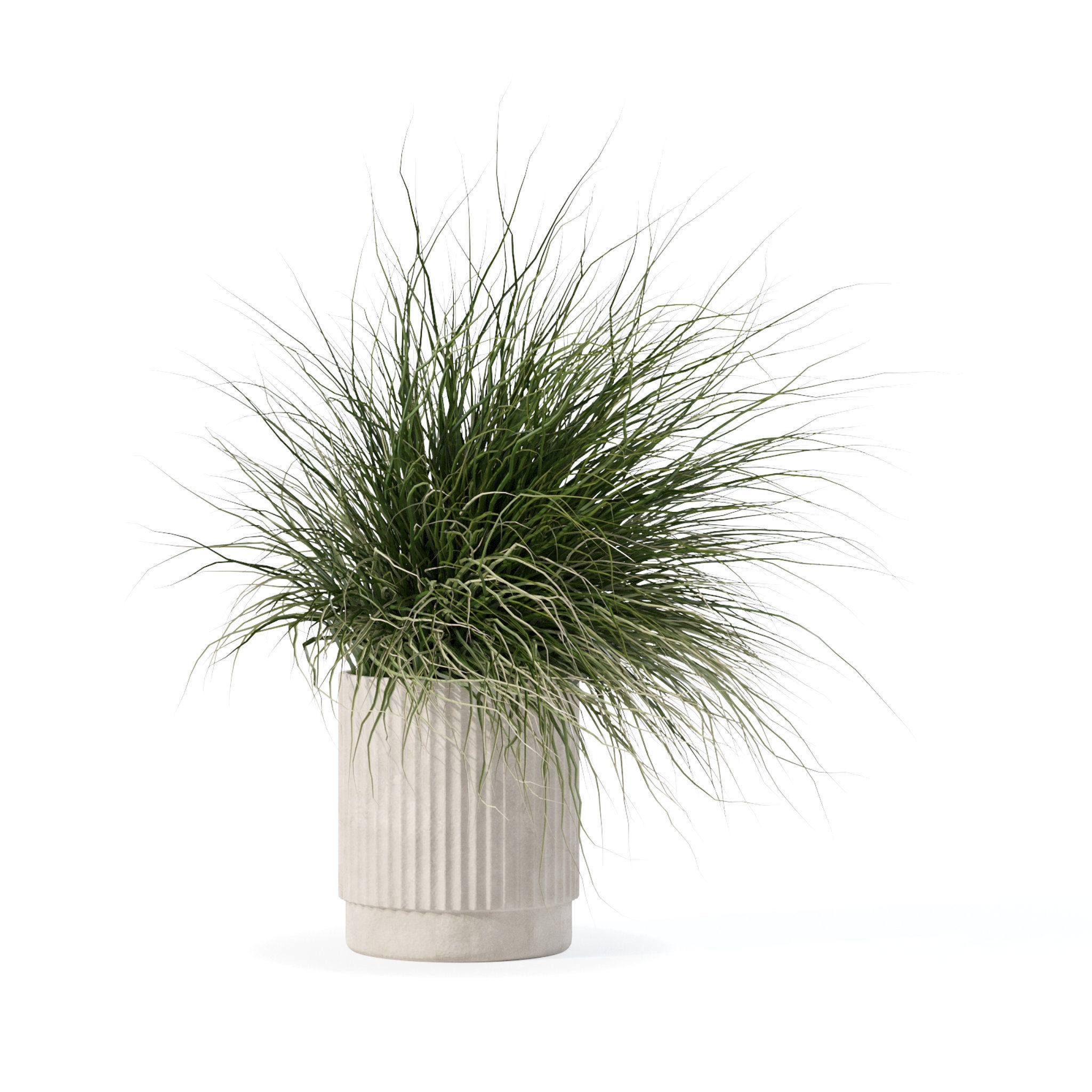 Grass in big flower pot 3D model_4