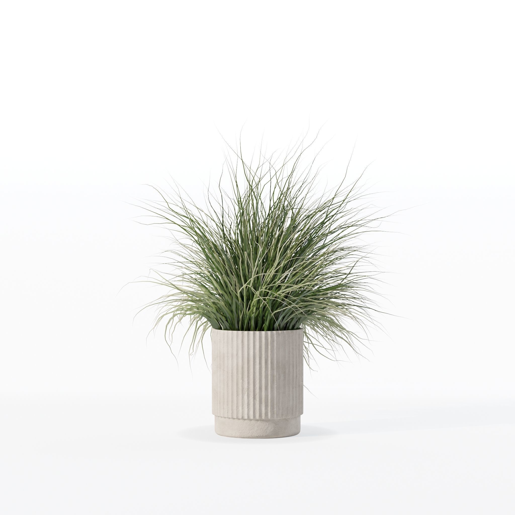 Grass in big flower pot 3D model_24