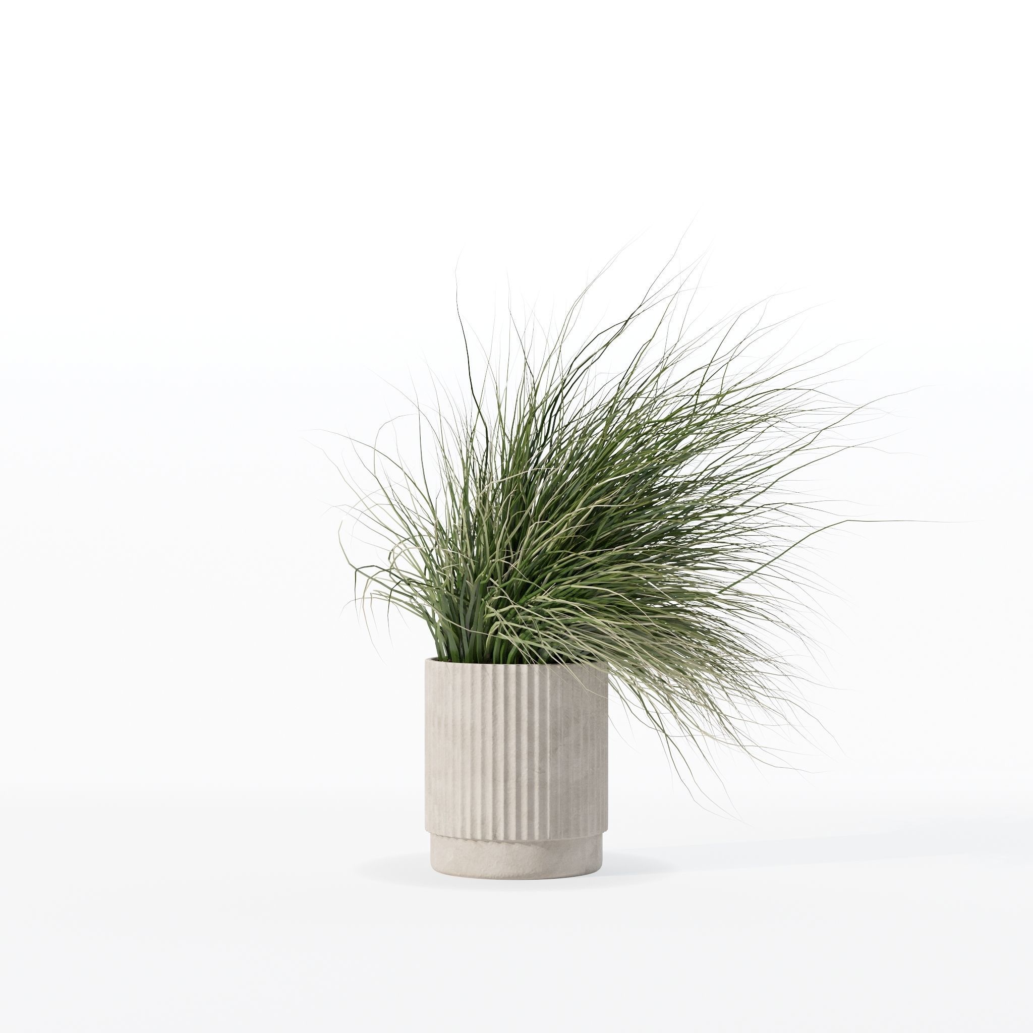 Grass in big flower pot 3D model_29