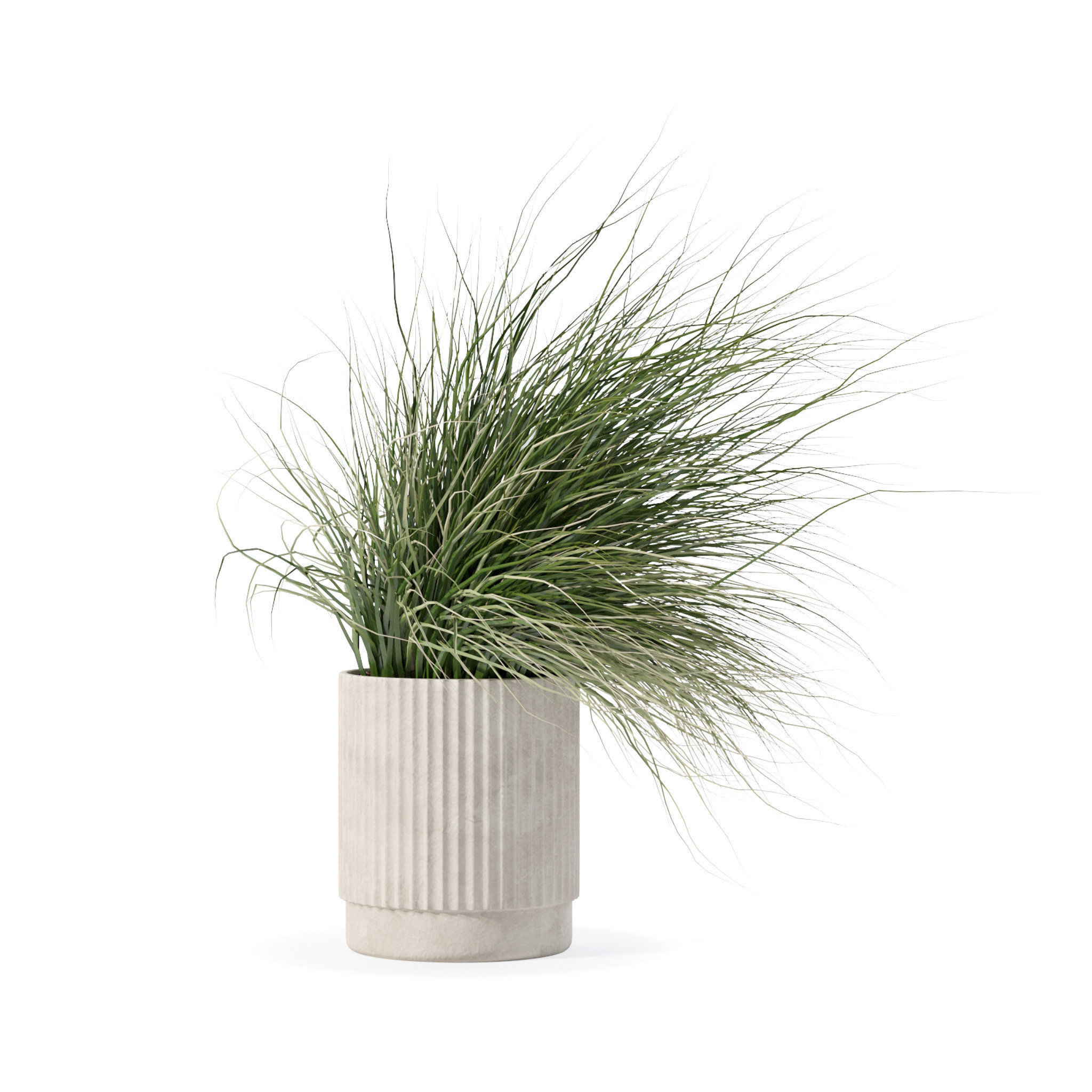 Grass in big flower pot 3D model_3