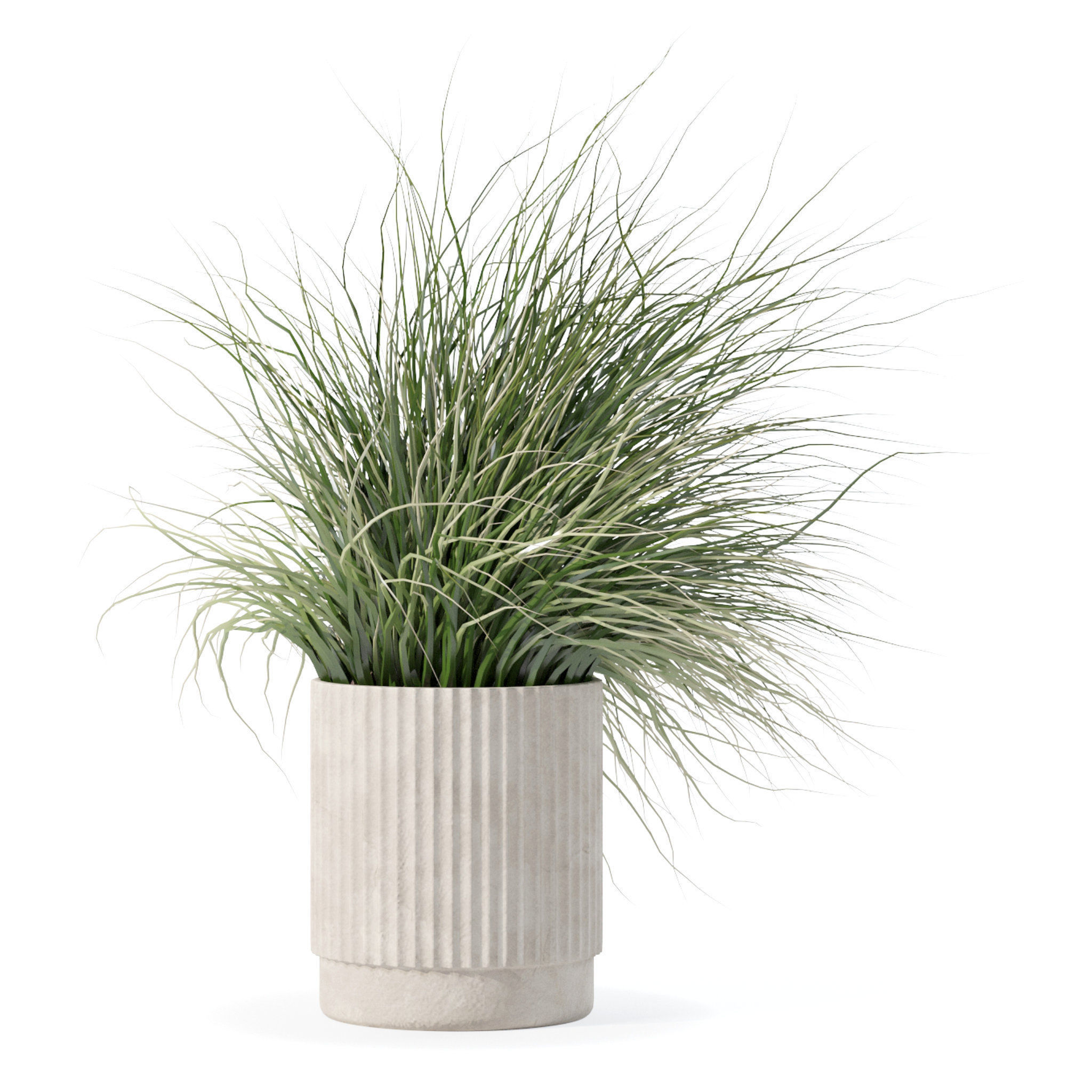 Grass in big flower pot 3D model_5