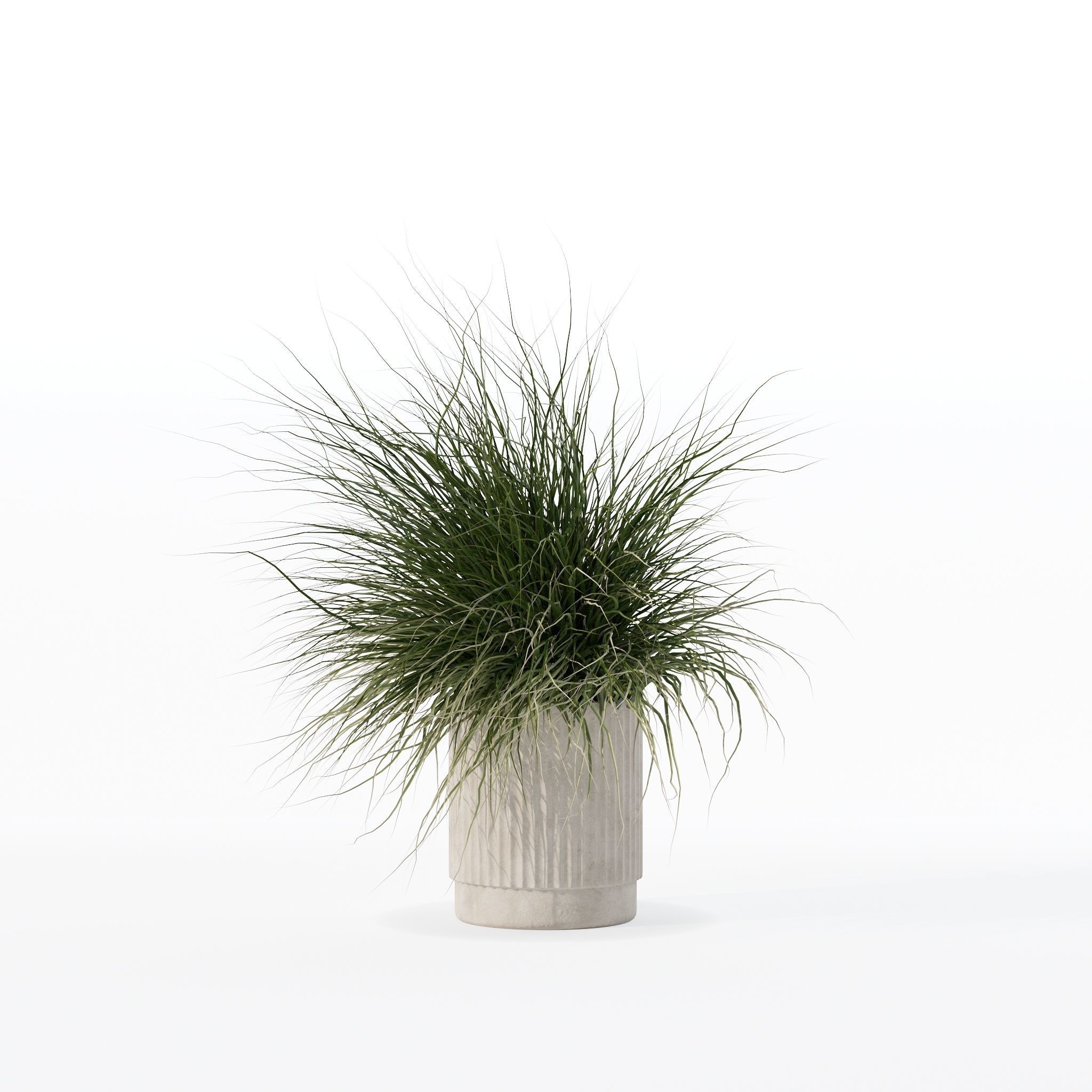 Grass in big flower pot 3D model_16