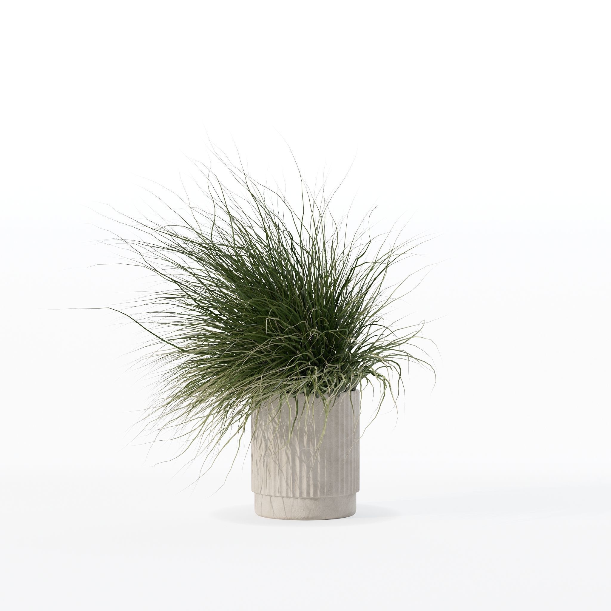 Grass in big flower pot 3D model_17