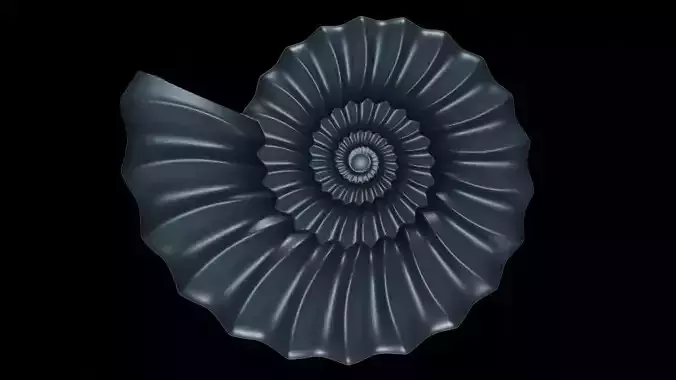 Serpenticone Shell Ornamented 3D print model
