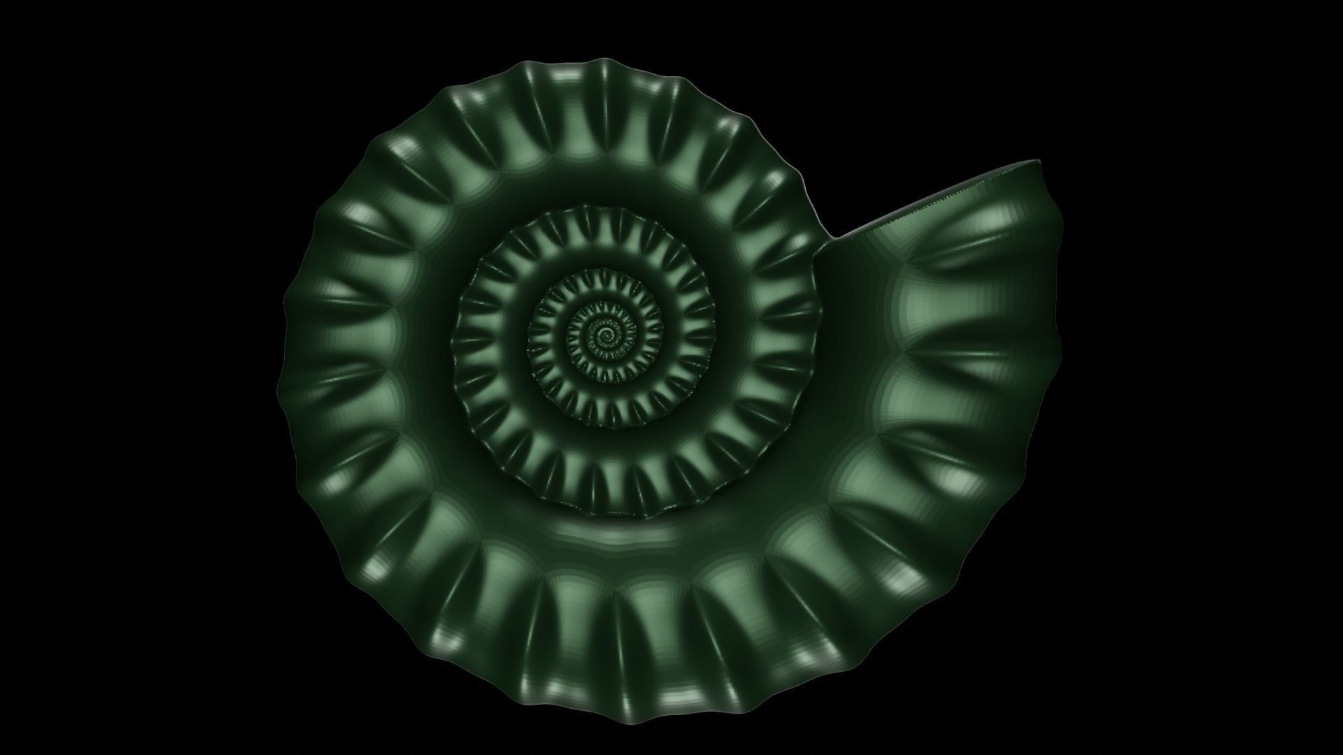 Serpenticone shell ornamented ventral ribs 3D print model_1