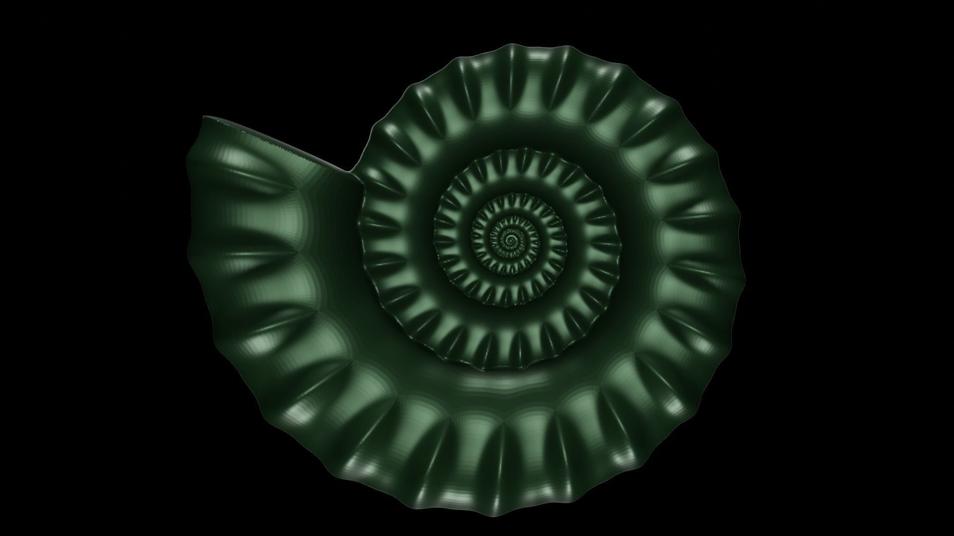 Serpenticone shell ornamented ventral ribs 3D print model_2