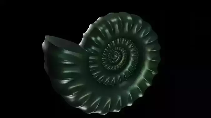 Serpenticone shell ornamented ventral ribs 3D print model