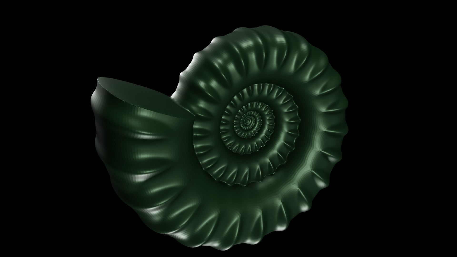 Serpenticone shell ornamented ventral ribs 3D model 3D printable | CGTrader