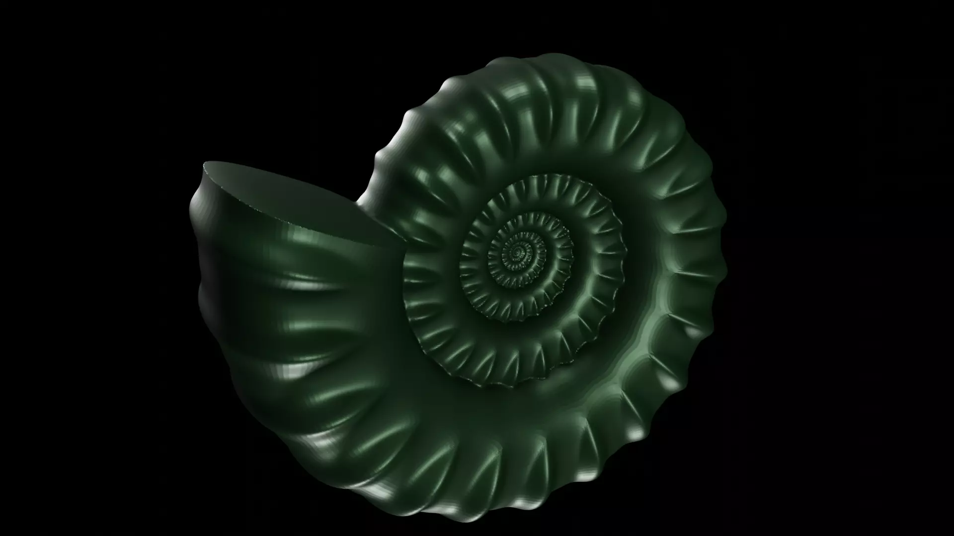 Serpenticone shell ornamented ventral ribs 3D print model_0