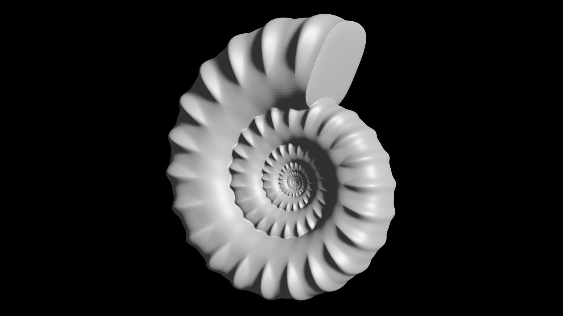 Serpenticone shell ornamented ventral ribs 3D print model_5