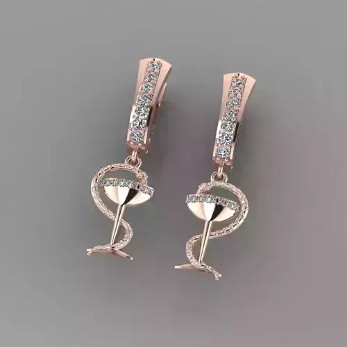 bowl and snake earrings s0014